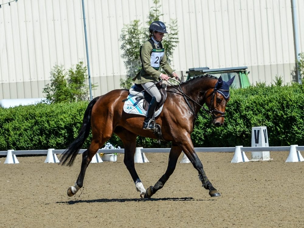 Kilkenny Class Hyde Lodge Horses
