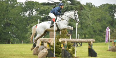 Hyde Lodge HOrses