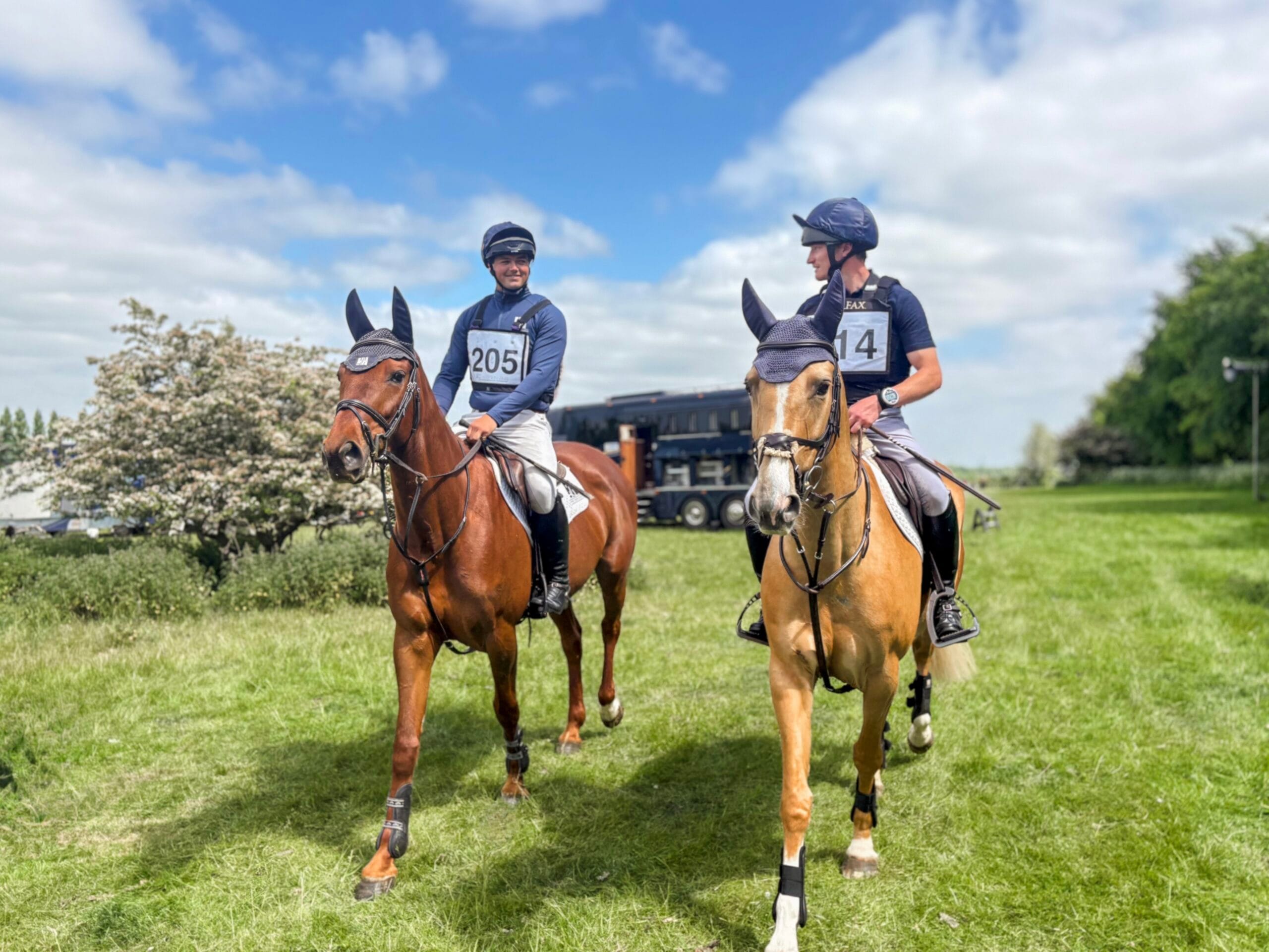 Hyde Lodge Horses